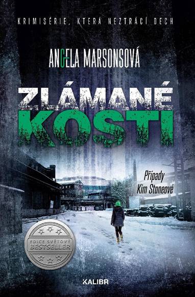E-kniha Zlámané kosti - Angela Marsonsová