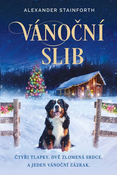 E-kniha Vánoční slib - Alexander Stainforth