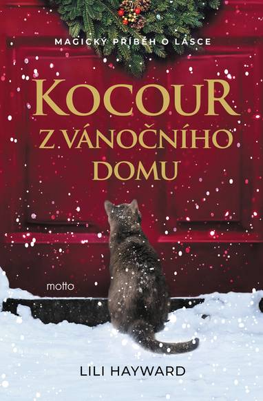 E-kniha Kocour z vánočního domu - Lili Hayward