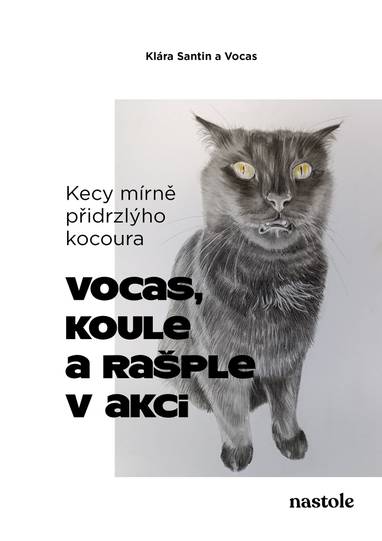 E-kniha Kecy mírně přidrzlýho kocoura - Klára Santin