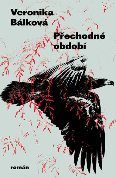 E-kniha Přechodné období - Veronika Bálková