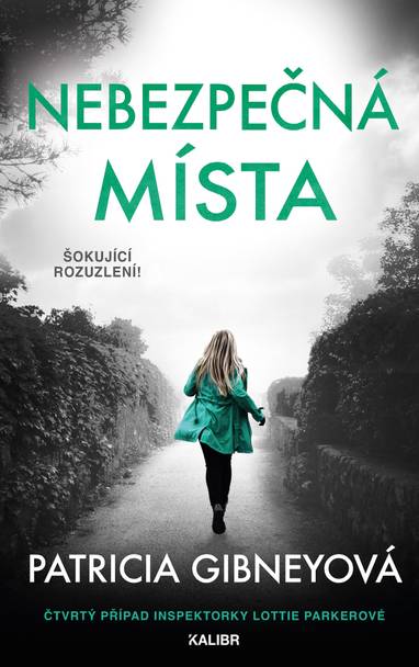 E-kniha Nebezpečná místa - Patricia Gibneyová