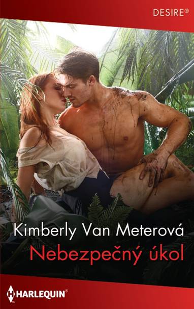E-kniha Nebezpečný úkol - Kimberly Van Meterová
