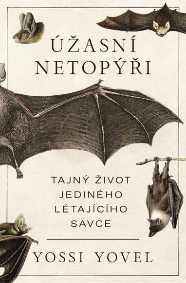 E-kniha Úžasní netopýři - Yosef Yovel
