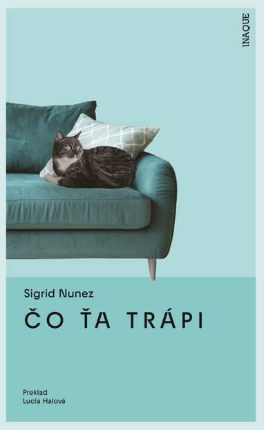 E-kniha Čo ťa trápi - Sigrid Nunez
