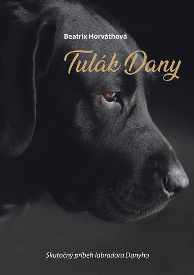 E-kniha Tulák Dany - Beatrix Horváthová