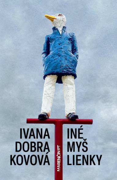 E-kniha Iné myšlienky - Ivana Dobrakovová