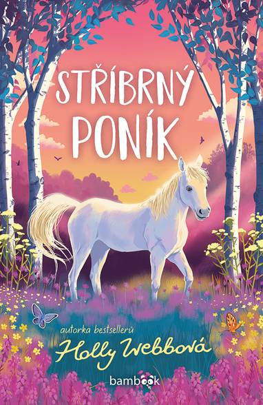 E-kniha Stříbrný poník - Holly Webbová