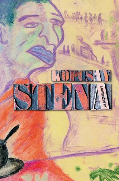 E-kniha Stena - Márius Kopcsay