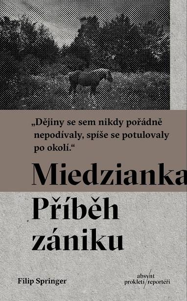 E-kniha Miedzianka - Filip Springer