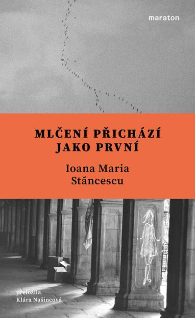 E-kniha Mlčení přichází jako první - Ioana Maria Stăncescu