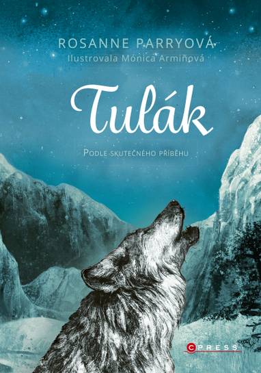 E-kniha Tulák - Rosanne Parry