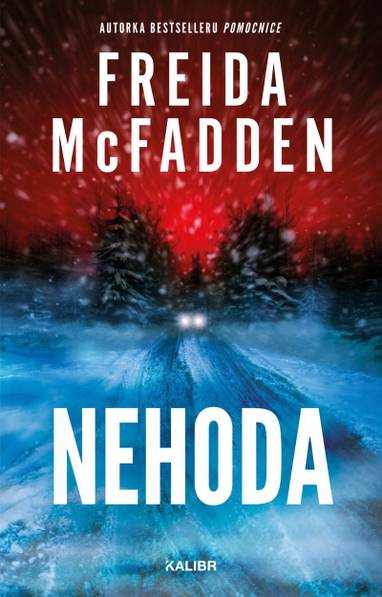 E-kniha Nehoda - Freida McFadden