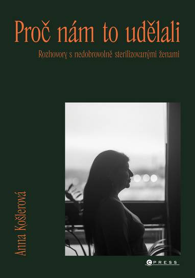 E-kniha Proč nám to udělali - Anna Košlerová