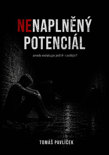 E-kniha Nenaplněný potenciál aneb existuje ještě naděje? - Tomáš Pavlíček