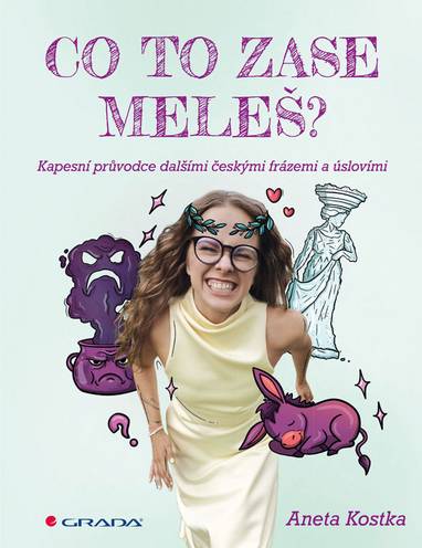 E-kniha Co to zase meleš? Kapesní průvodce dalšími českými frázemi a úslovími - Aneta Kostka, Aneta Kusá