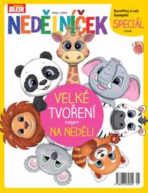 Obálka Nedělníček Tvoření nejen na neděli