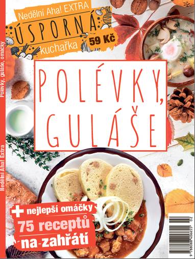 Kniha Nedělní Aha Polévky, guláše