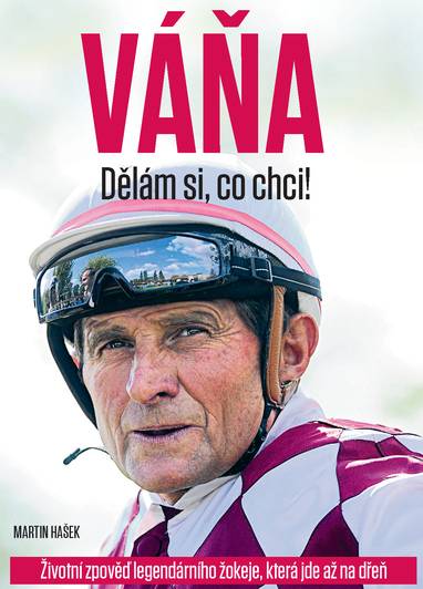 Kniha Váňa Dělám si co chci!