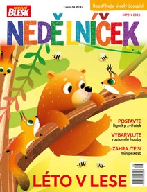 Časopis Roční předplatné Nedělníček - roční předplatné - CZECH NEWS CENTER a. s.