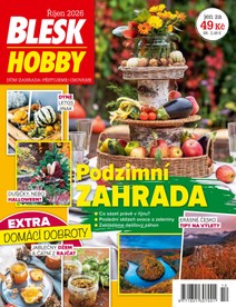 Časopis Roční předplatné Blesk Hobby - roční předplatné - CZECH NEWS CENTER a. s.