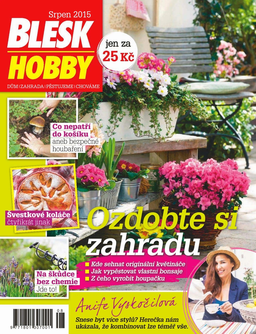 E-magazín BLESK HOBBY - 08/15 - CZECH NEWS CENTER a. s.