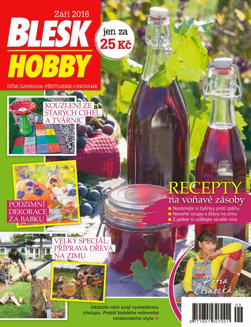 E-magazín BLESK HOBBY - 09/16 - CZECH NEWS CENTER a. s.