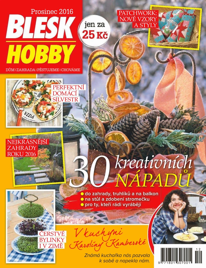 E-magazín BLESK HOBBY - 12/16 - CZECH NEWS CENTER a. s.