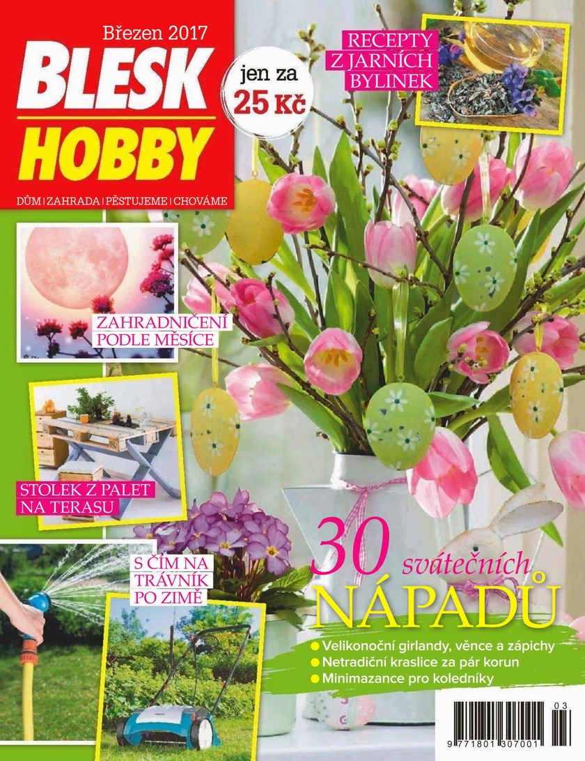 E-magazín BLESK HOBBY - 03/17 - CZECH NEWS CENTER a. s.