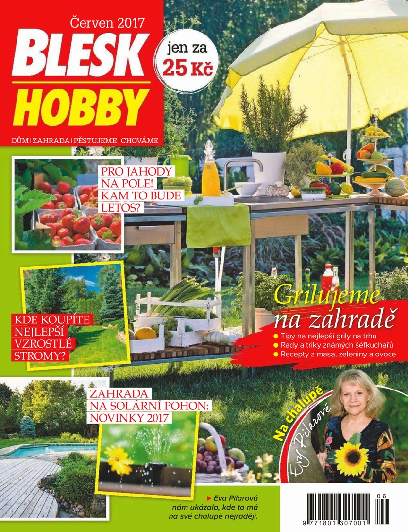 E-magazín BLESK HOBBY - 06/17 - CZECH NEWS CENTER a. s.