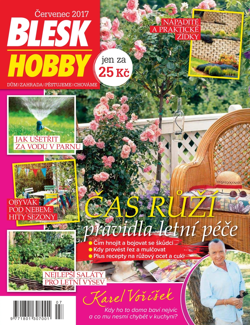 E-magazín BLESK HOBBY - 07/17 - CZECH NEWS CENTER a. s.