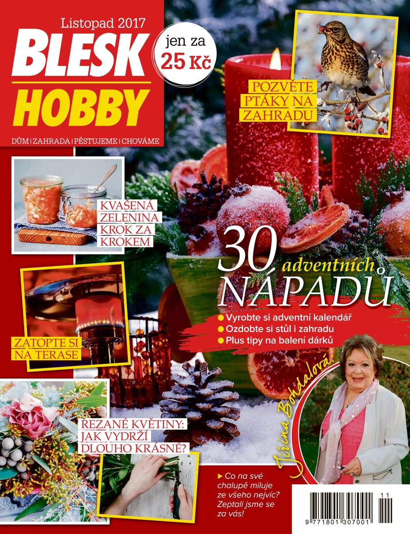 E-magazín BLESK HOBBY - 11/17 - CZECH NEWS CENTER a. s.