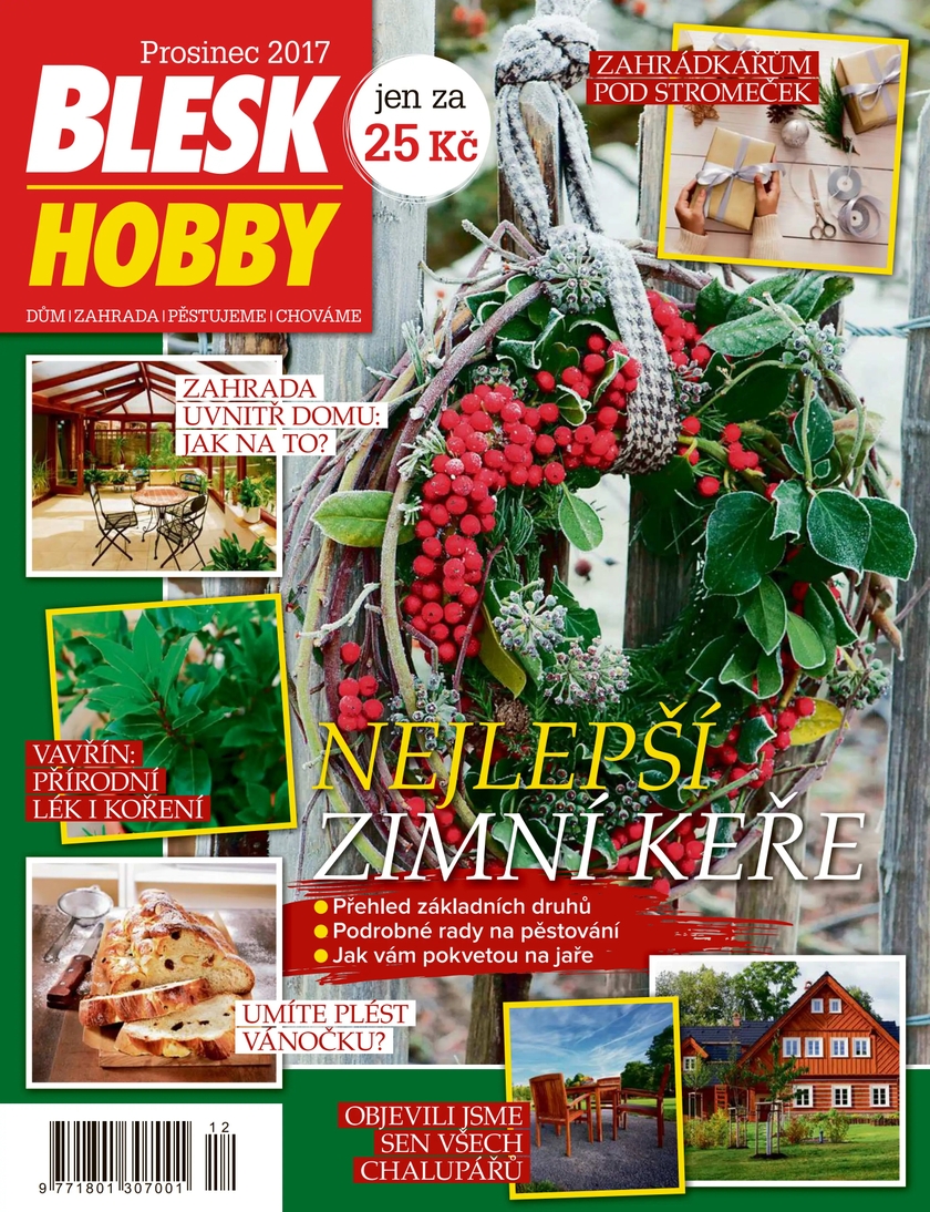 E-magazín BLESK HOBBY - 12/17 - CZECH NEWS CENTER a. s.