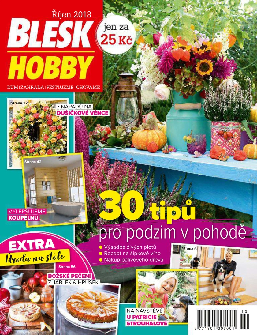 E-magazín BLESK HOBBY - 10/18 - CZECH NEWS CENTER a. s.
