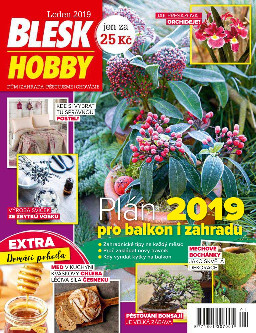 E-magazín BLESK HOBBY - 1/2019 - CZECH NEWS CENTER a. s.