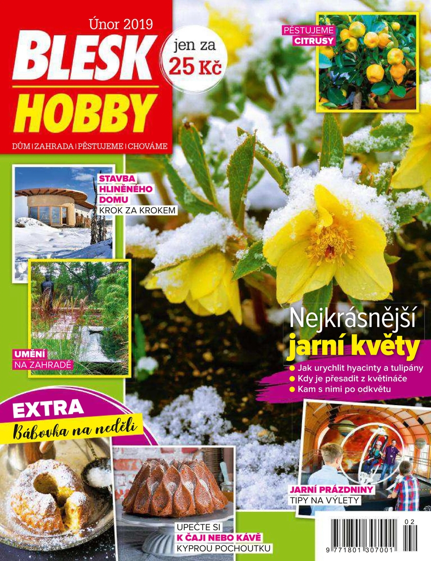 E-magazín BLESK HOBBY - 2/2019 - CZECH NEWS CENTER a. s.