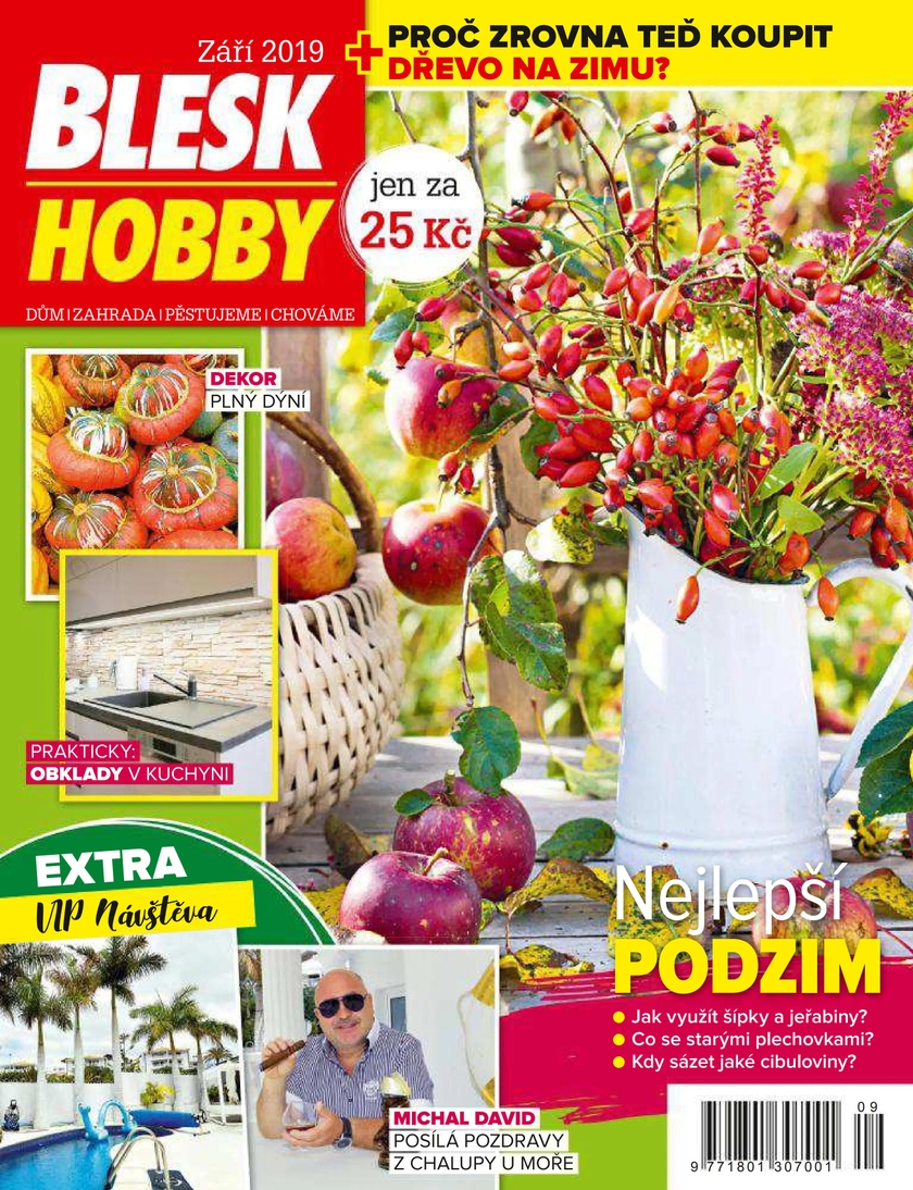 E-magazín BLESK HOBBY - 9/2019 - CZECH NEWS CENTER a. s.
