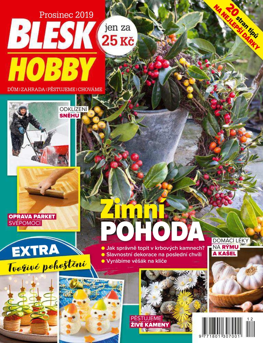 E-magazín BLESK HOBBY - 12/2019 - CZECH NEWS CENTER a. s.
