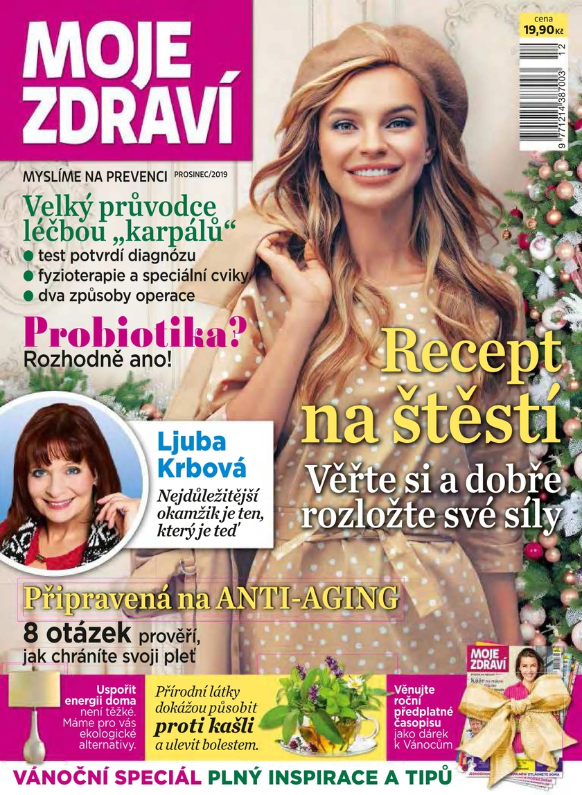 E-magazín MOJE ZDRAVÍ - 12/2019 - CZECH NEWS CENTER a. s.