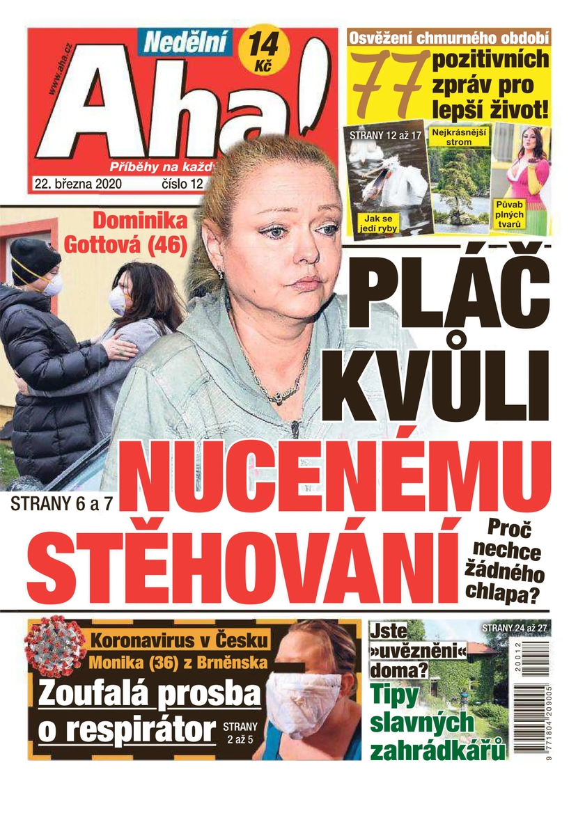 E-magazín Nedělní Aha! - 12/2020 - CZECH NEWS CENTER a. s.