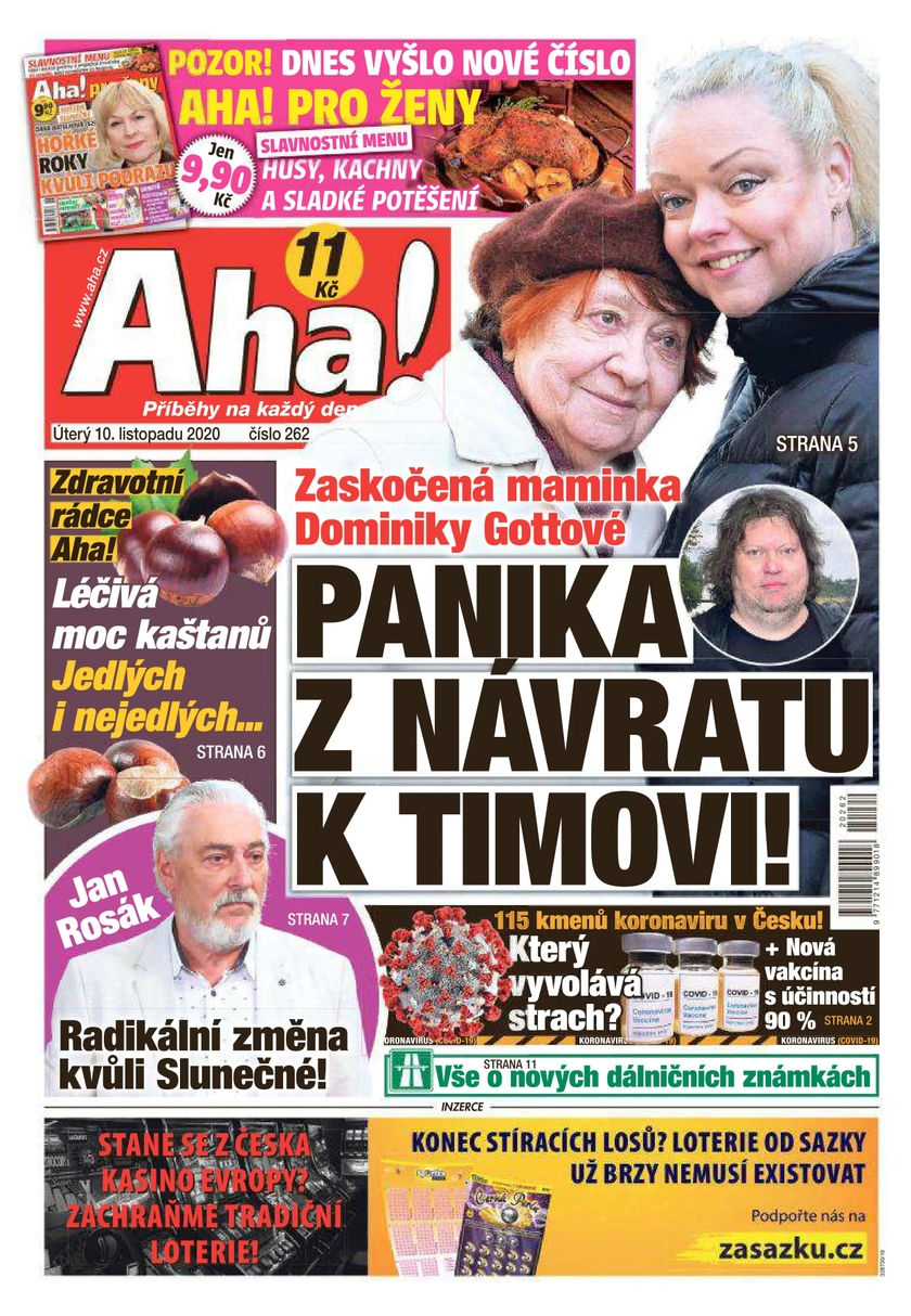 E-magazín Aha! - 10.11.2020 - CZECH NEWS CENTER a. s.