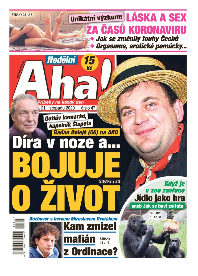 E-magazín Nedělní Aha! - 47/2020 - CZECH NEWS CENTER a. s.