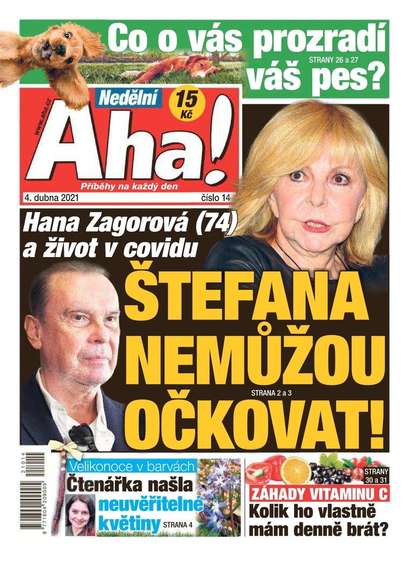 E-magazín Nedělní Aha! - 14/2021 - CZECH NEWS CENTER a. s.