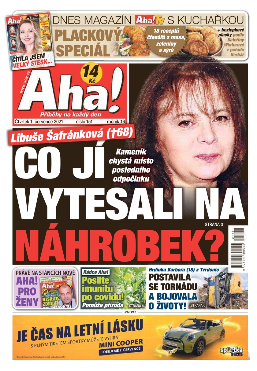 E-magazín Aha! - 1.7.2021 - CZECH NEWS CENTER a. s.