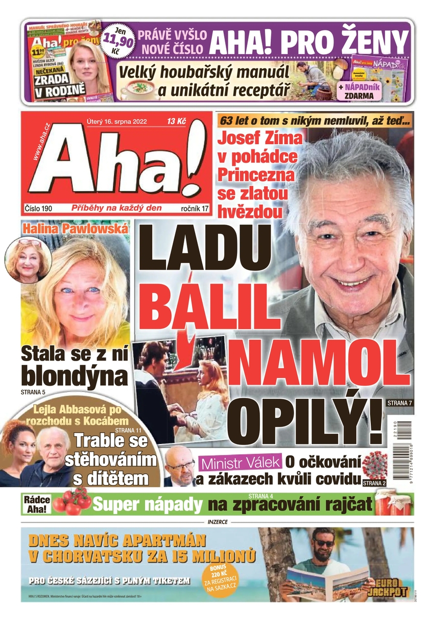 E-magazín Aha! - 16.8.2022 - CZECH NEWS CENTER a. s.