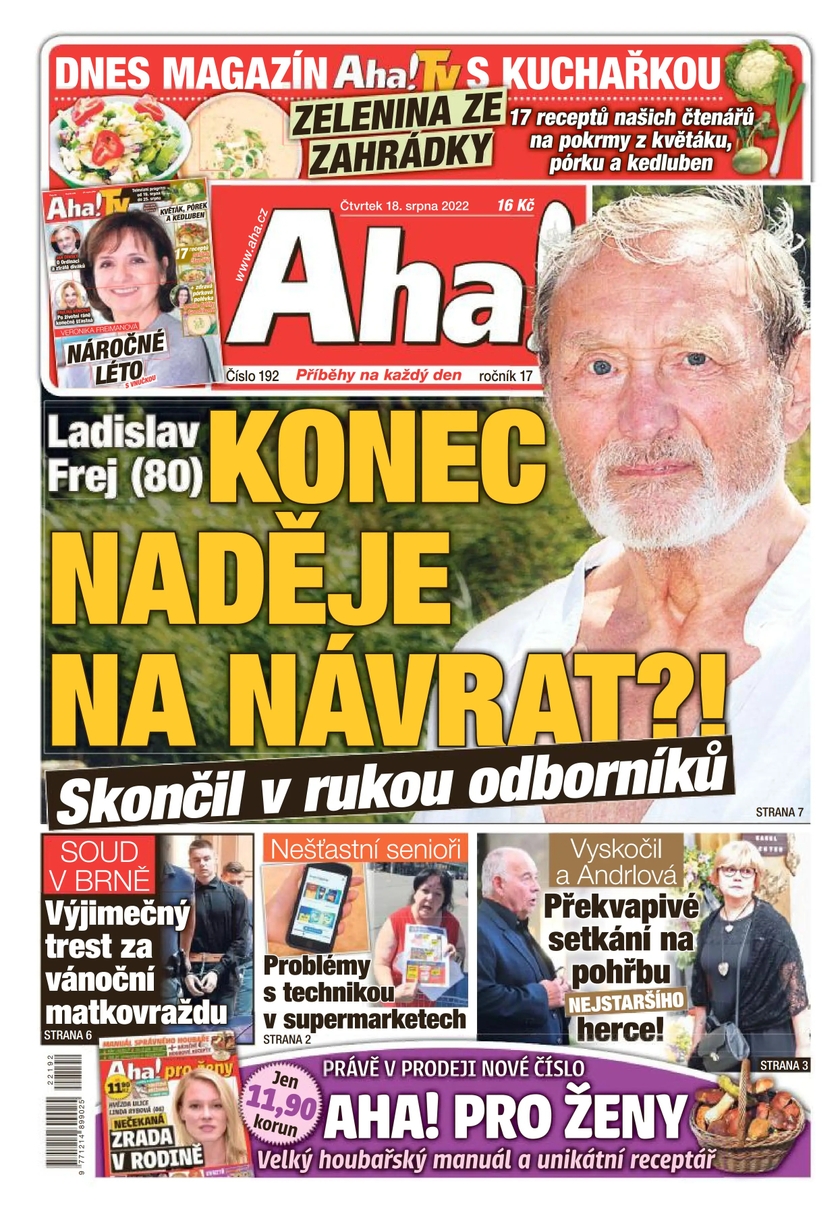 E-magazín Aha! - 18.8.2022 - CZECH NEWS CENTER a. s.