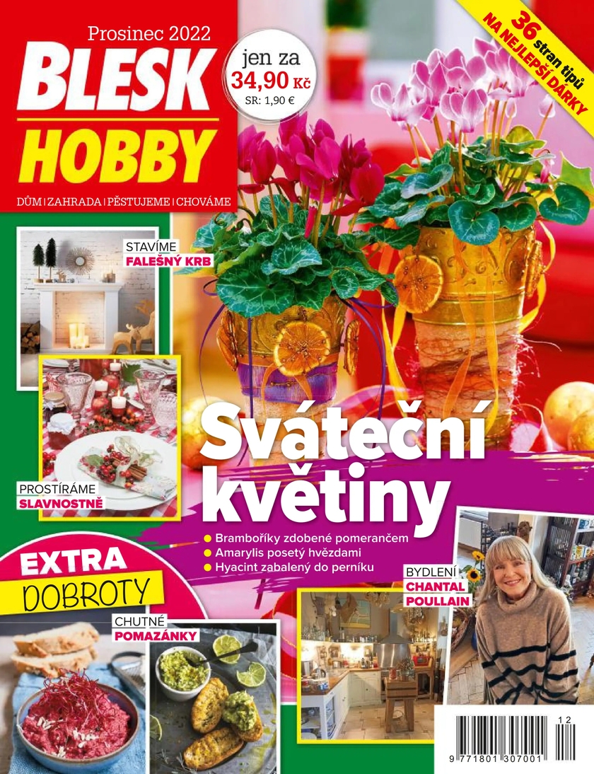 E-magazín BLESK HOBBY - 12/2022 - CZECH NEWS CENTER a. s.
