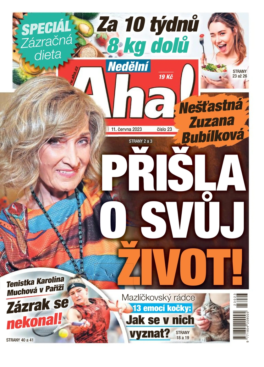 E-magazín Nedělní Aha! - 23/2023 - CZECH NEWS CENTER a. s.