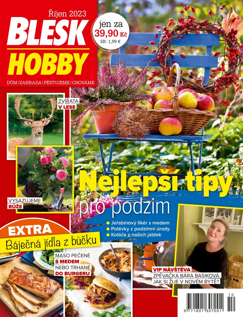 E-magazín BLESK HOBBY - 10/2023 - CZECH NEWS CENTER a. s.
