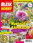 Obálka Blesk Hobby - roční předplatné